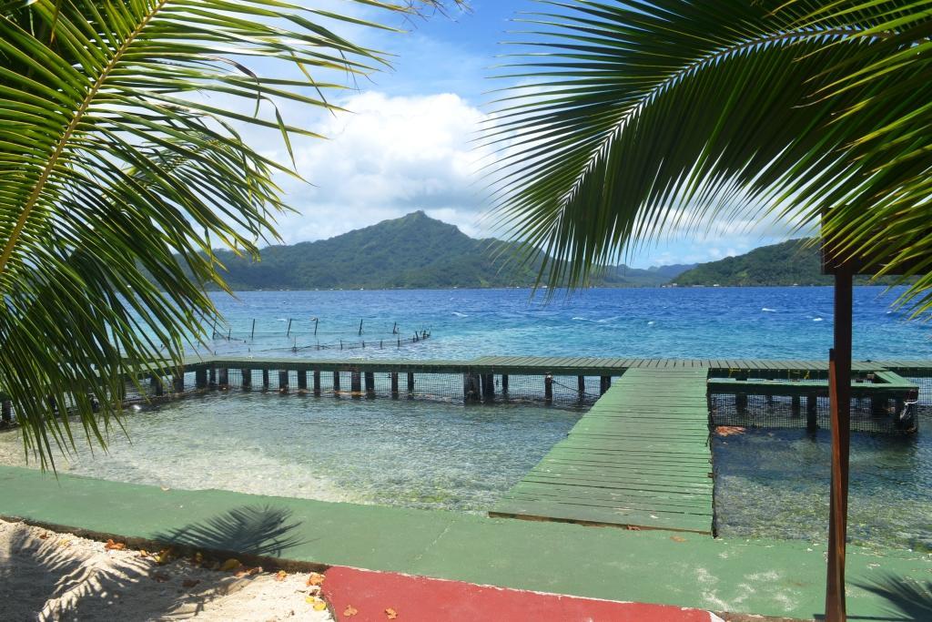 Pension Atger Vaitoare  Exterior foto